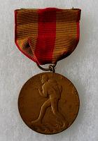 United States Marine Corps USMC Expeditionary Medal
