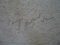 WWII US Navy USN PT Boat MTB RON 43 Squadron Insignia Placard