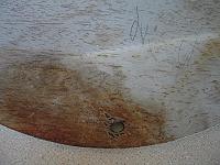 WWII US Navy USN PT Boat MTB RON 43 Squadron Insignia Placard