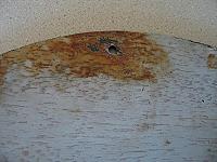 WWII US Navy USN PT Boat MTB RON 43 Squadron Insignia Placard