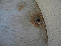 WWII US Navy USN PT Boat MTB RON 43 Squadron Insignia Placard