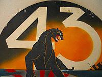 WWII US Navy USN PT Boat MTB RON 43 Squadron Insignia Placard